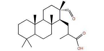 Conulosin A